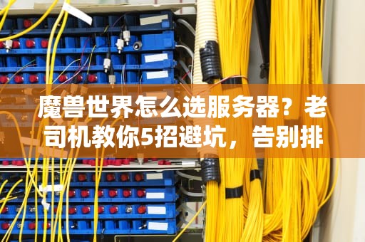 魔兽世界怎么选服务器？老司机教你5招避坑，告别排队卡顿！