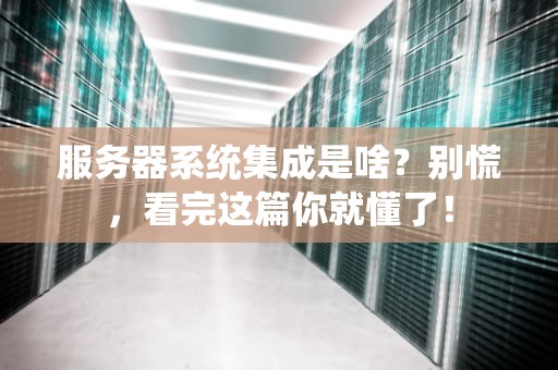 服务器系统集成是啥？别慌，看完这篇你就懂了！