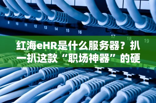 红海eHR是什么服务器？扒一扒这款“职场神器”的硬核实力！