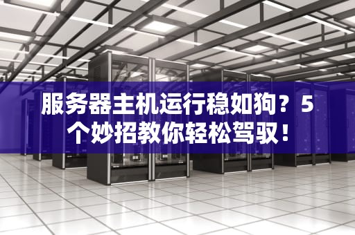 服务器主机运行稳如狗？5个妙招教你轻松驾驭！