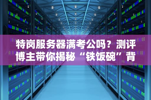 特岗服务器满考公吗？测评博主带你揭秘“铁饭碗”背后的硬件真相！