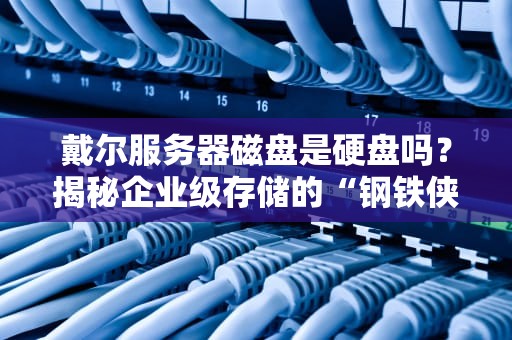 戴尔服务器磁盘是硬盘吗？揭秘企业级存储的“钢铁侠”与“U盘祖宗”