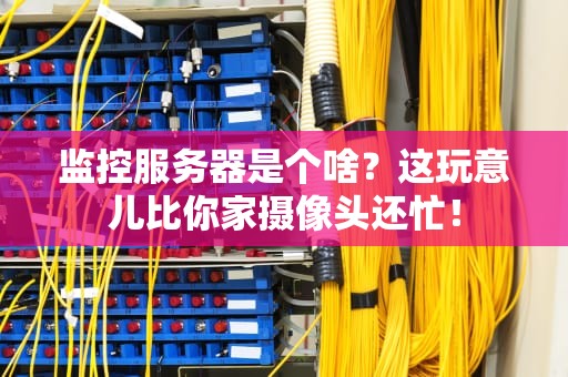 监控服务器是个啥？这玩意儿比你家摄像头还忙！