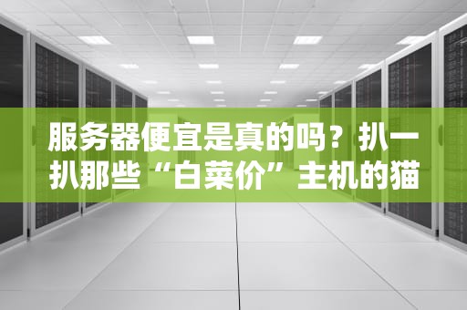 服务器便宜是真的吗？扒一扒那些“白菜价”主机的猫腻！