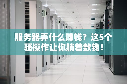 服务器弄什么赚钱？这5个骚操作让你躺着数钱！