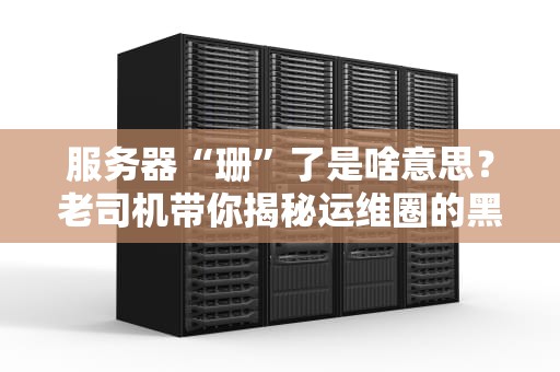 服务器“珊”了是啥意思？老司机带你揭秘运维圈的黑话！