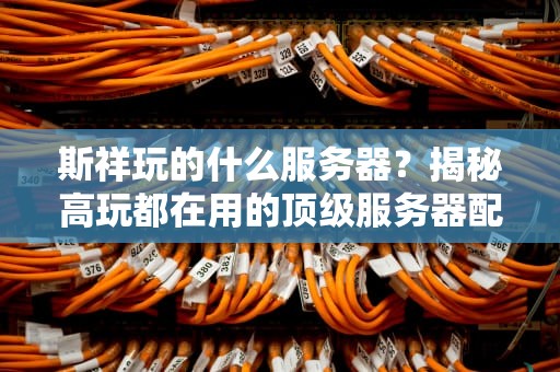 斯祥玩的什么服务器？揭秘高玩都在用的顶级服务器配置！