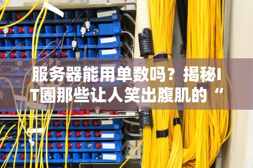 服务器能用单数吗？揭秘IT圈那些让人笑出腹肌的“单飞”误区！