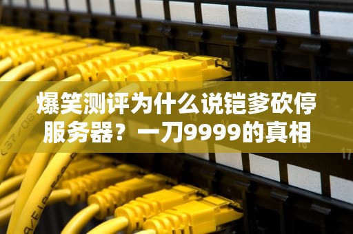 爆笑测评为什么说铠爹砍停服务器？一刀9999的真相大揭秘！
