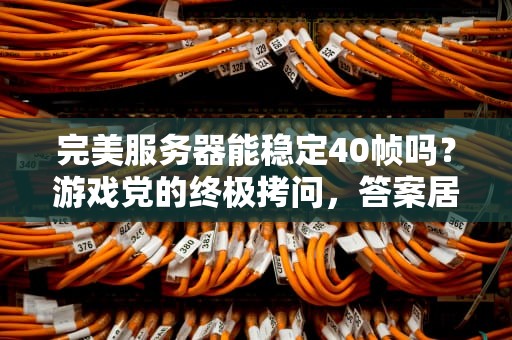 完美服务器能稳定40帧吗？游戏党的终极拷问，答案居然藏在这里！