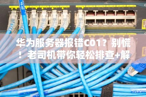 华为服务器报错C01？别慌！老司机带你轻松排查+解决（附专业分析）
