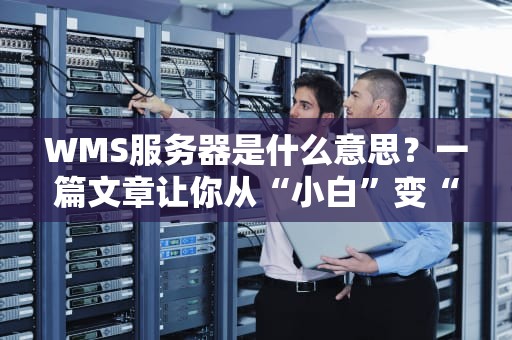 WMS服务器是什么意思？一篇文章让你从“小白”变“仓库管理大神”！