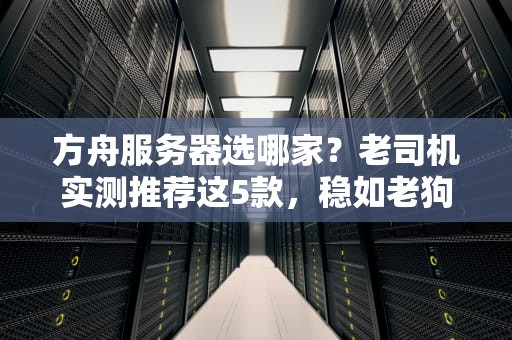 方舟服务器选哪家？老司机实测推荐这5款，稳如老狗不翻车！