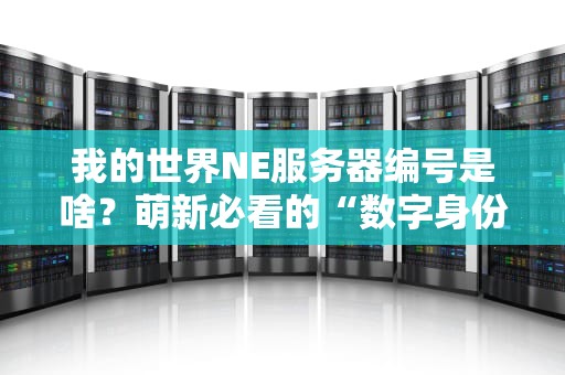 我的世界NE服务器编号是啥？萌新必看的“数字身份证”科普指南！
