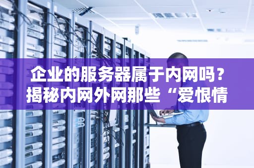 企业的服务器属于内网吗？揭秘内网外网那些“爱恨情仇”