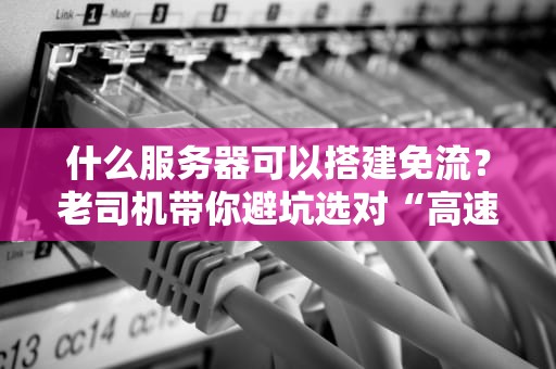 什么服务器可以搭建免流？老司机带你避坑选对“高速列车”！