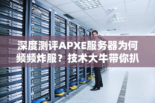 深度测评APXE服务器为何频频炸服？技术大牛带你扒一扒真相！