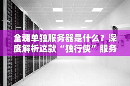 全魂单独服务器是什么？深度解析这款“独行侠”服务器的优缺点！
