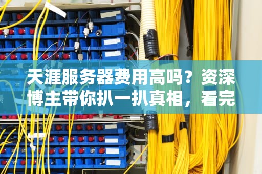 天涯服务器费用高吗？资深博主带你扒一扒真相，看完笑出腹肌！