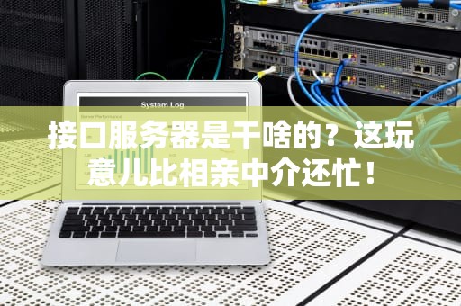 接口服务器是干啥的？这玩意儿比相亲中介还忙！
