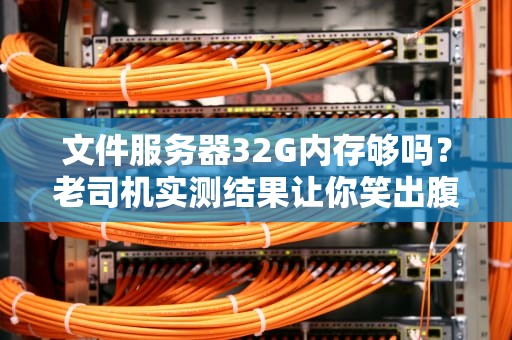 文件服务器32G内存够吗？老司机实测结果让你笑出腹肌！