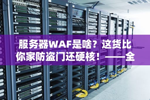 服务器WAF是啥？这货比你家防盗门还硬核！——全网最逗比WAF科普指南
