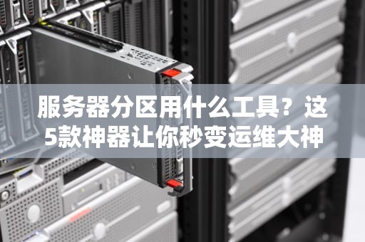 服务器分区用什么工具？这5款神器让你秒变运维大神！