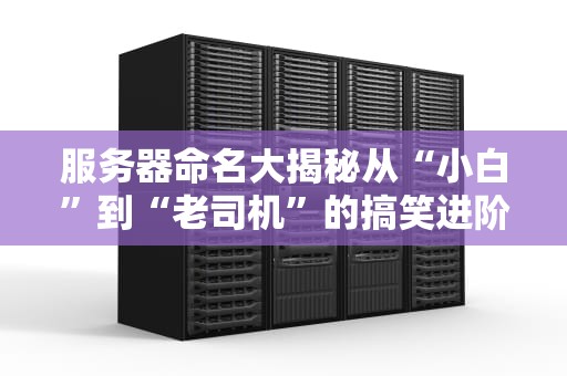 服务器命名大揭秘从“小白”到“老司机”的搞笑进阶指南