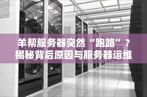 羊帮服务器突然“跑路”？揭秘背后原因与服务器运维的“血泪史”