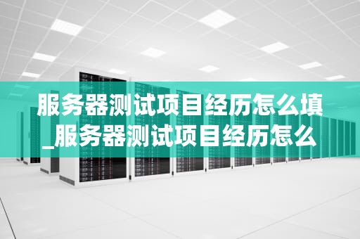服务器测试项目经历怎么填_服务器测试项目经历怎么填的_服务器测试项目经历的深度解析