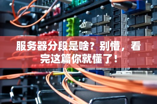 服务器分段是啥？别懵，看完这篇你就懂了！
