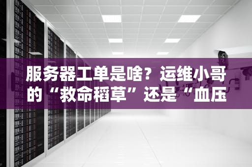 服务器工单是啥？运维小哥的“救命稻草”还是“血压飙升器”？专业科普+爆笑解读！