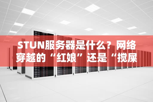 STUN服务器是什么？网络穿越的“红娘”还是“搅屎棍”？