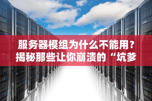 服务器模组为什么不能用？揭秘那些让你崩溃的“坑爹”设定！