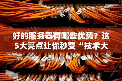 好的服务器有哪些优势？这5大亮点让你秒变“技术大佬”！