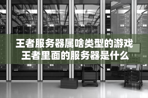 王者服务器属啥类型的游戏 王者里面的服务器是什么