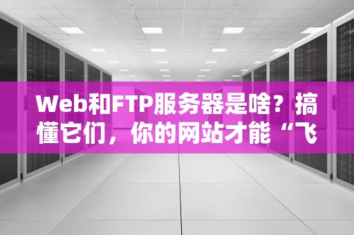Web和FTP服务器是啥？搞懂它们，你的网站才能“飞”起来！