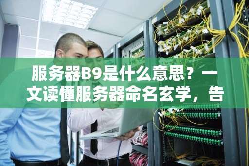服务器B9是什么意思？一文读懂服务器命名玄学，告别选择困难症！