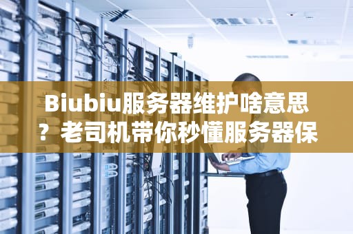 Biubiu服务器维护啥意思？老司机带你秒懂服务器保养那些事儿！