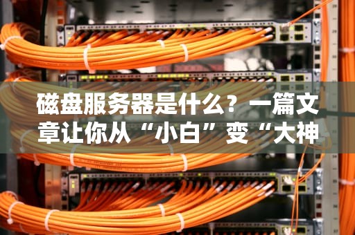 磁盘服务器是什么？一篇文章让你从“小白”变“大神”！（附专业测评指南）