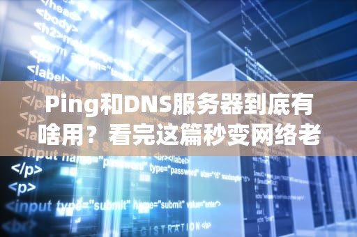 Ping和DNS服务器到底有啥用？看完这篇秒变网络老司机！