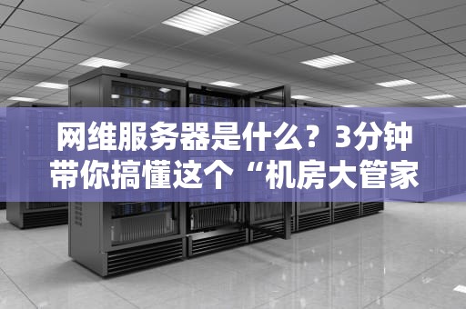 网维服务器是什么？3分钟带你搞懂这个“机房大管家”的硬核日常！