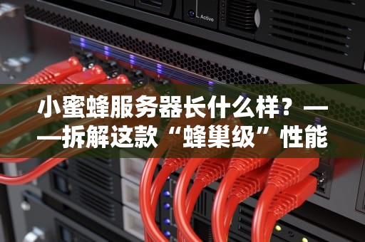 小蜜蜂服务器长什么样？——拆解这款“蜂巢级”性能的IT界劳模！