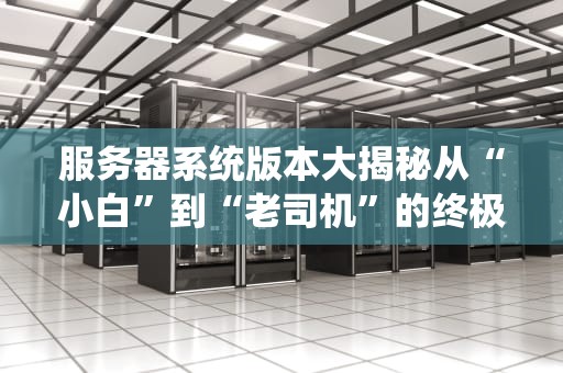 服务器系统版本大揭秘从“小白”到“老司机”的终极指南