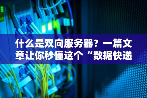 什么是双向服务器？一篇文章让你秒懂这个“数据快递员”的骚操作！