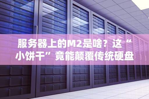 服务器上的M2是啥？这“小饼干”竟能颠覆传统硬盘！