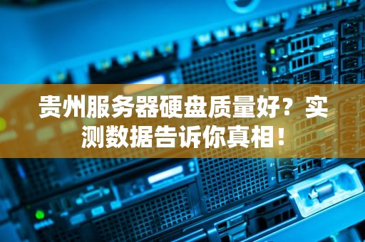 贵州服务器硬盘质量好？实测数据告诉你真相！