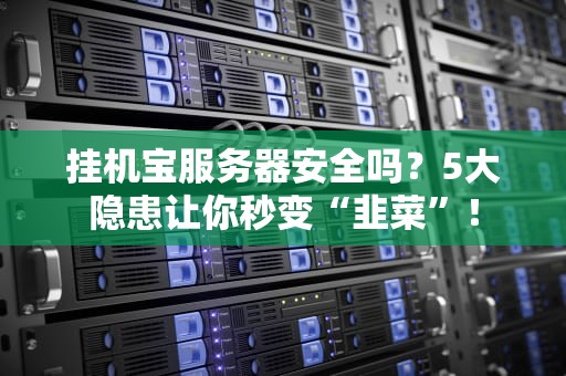 挂机宝服务器安全吗？5大隐患让你秒变“韭菜”！
