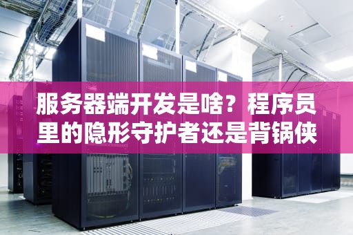 服务器端开发是啥？程序员里的隐形守护者还是背锅侠？