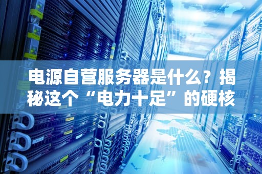 电源自营服务器是什么？揭秘这个“电力十足”的硬核黑科技！